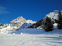 山,雪,冬天