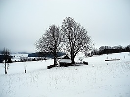 景觀,冬天,雪