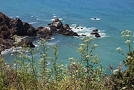 海洋,水,海