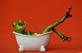 青蛙,浴,游泳