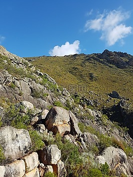 山,小山,景觀