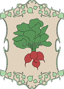 萝卜,花园,蔬菜