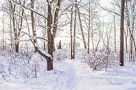 雪,走,冬天