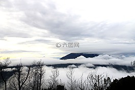 霧,自然,森林