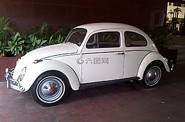 車,釀酒,自動