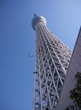天空樹,sky tree,日本