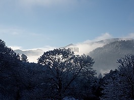 雪,山,冬天