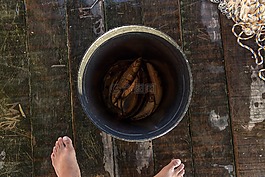 魚,斗,捕魚