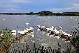 馬蹄,湖,天空
