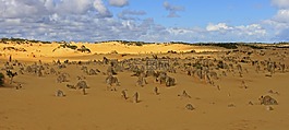 尖塔,nambung 国家公园,澳大利亚