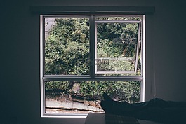 窗口框架,查看,帧