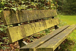 坐,自然,銀行