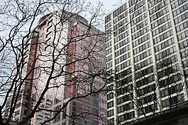 建筑物,市中心,波特蘭
