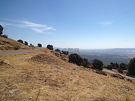 伴侶,路,山