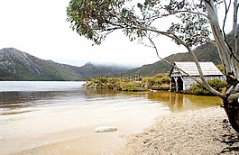 船塢舉辦,寧靜,海灘