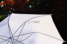 陽傘,屏幕,太陽