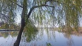 湖,看,走