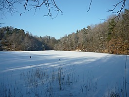 冬天,景觀,湖