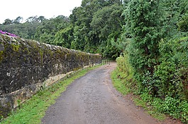路徑,路,方式