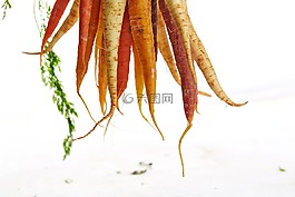 胡蘿卜,掛,蔬菜