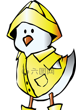 小雞,動(dòng)物,鳥(niǎo)