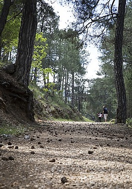路徑,山,步行