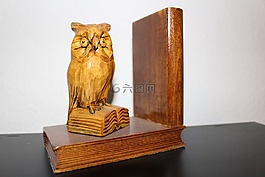 buchstütze,猫头鹰书籍,本书