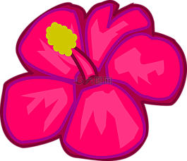 花,粉紅色,羅莎