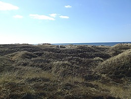 希爾,沙丘,綠色
