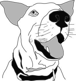 狗,獵犬,寵物