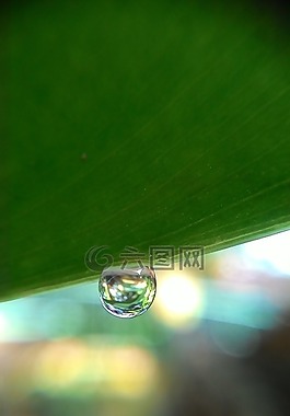 水,露水,早上