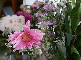 花,blomma,开花