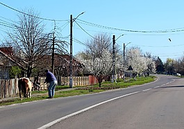 街,村,t