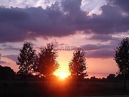日落,zelhem,樹木