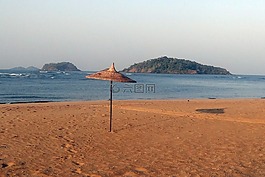 遮阳伞,海滩,梧桐