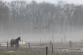 馬,性質(zhì),冬天