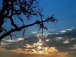 照片,景观,天空