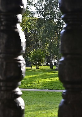 公園,查看,景觀