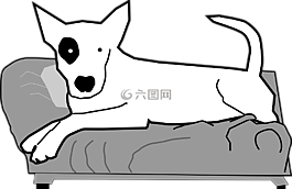 狗,寵物,動(dòng)物