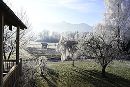 霜,山,景觀