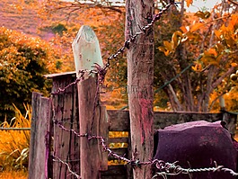 關(guān)于,木材,安全