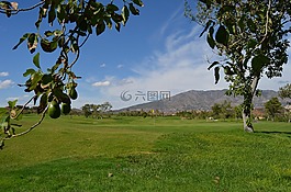 高爾夫球,牛油果,西班牙