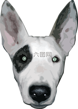 狗,獵犬,寵物
