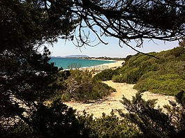希臘,海灘,夏季
