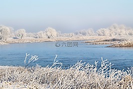 景觀,河,易北河