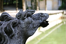 馬頭,噴泉,池塘