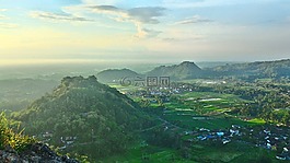 景觀,山,草
