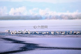 景觀,湖,凍結(jié)