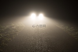 前燈,霧,夜