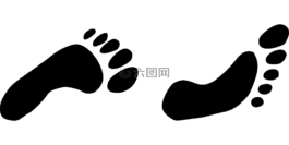 足跡,腳,走